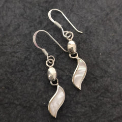Shell Silver Earrings