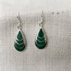 Shell Silver Earrings